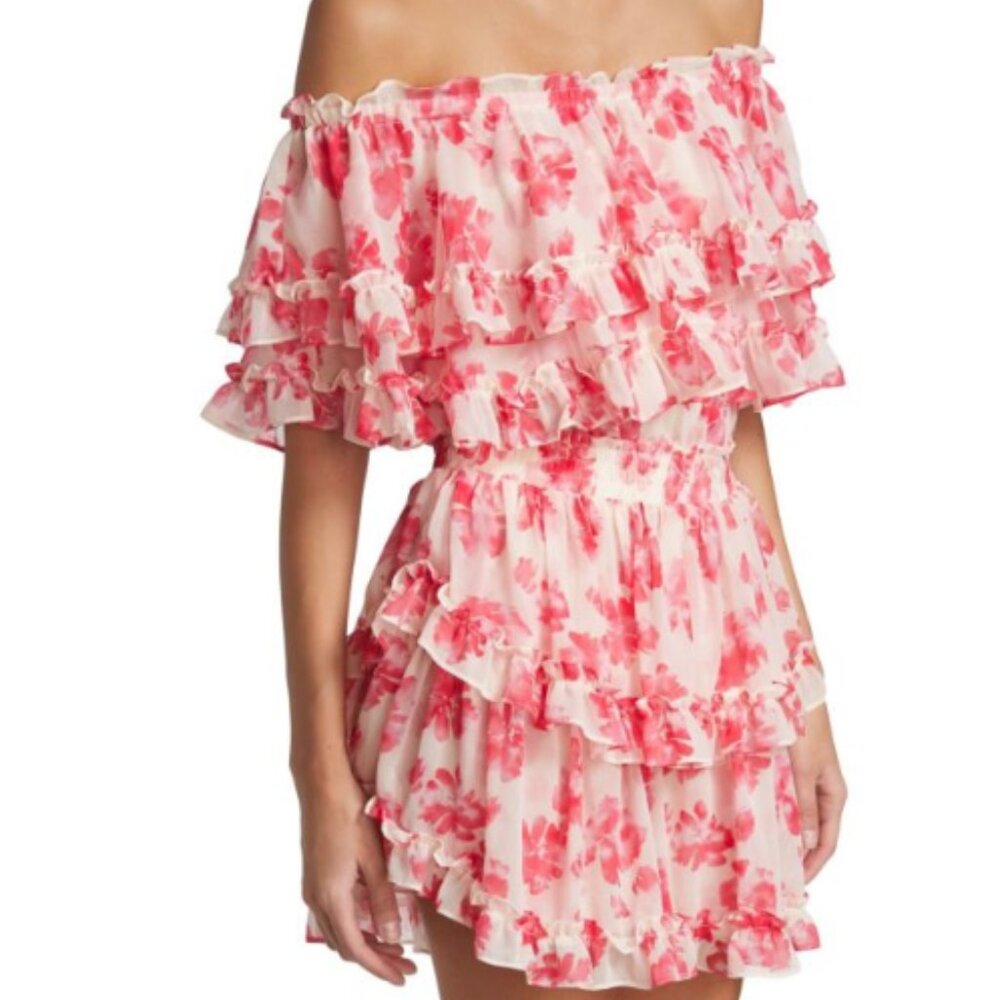 Isella Floral Georgette Mini Dress NWT Medium